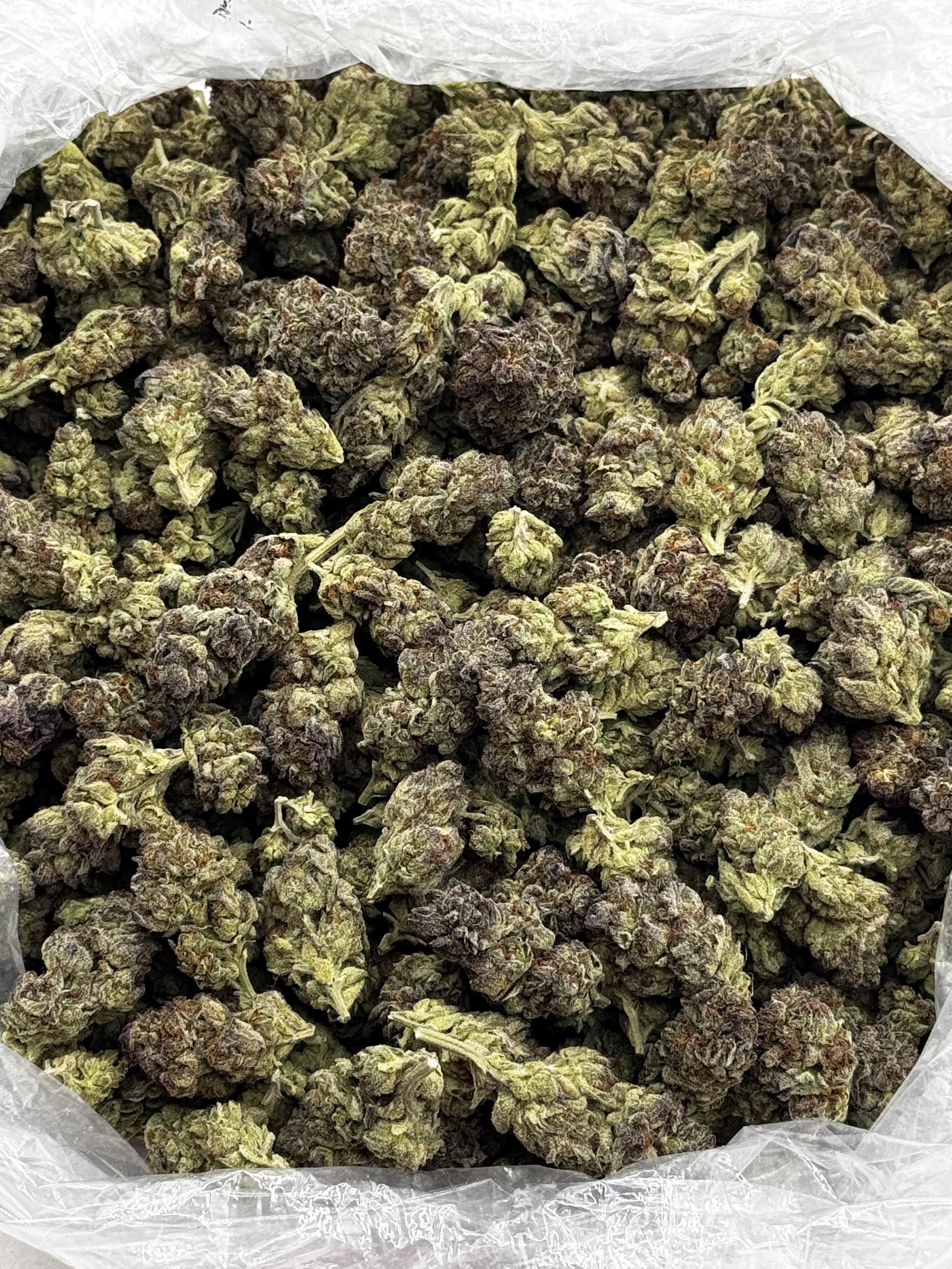 $650 LB Special - Blue Cheese (Indica)