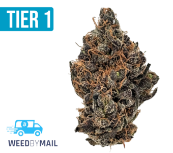 Tier 1 Chron Burgundy (36.84% THC)(Indica)