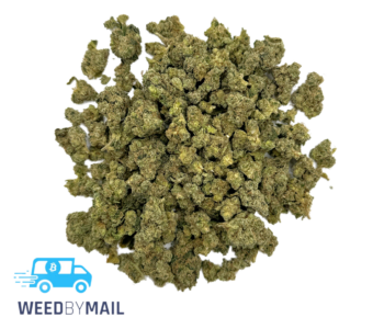 Tier 2 (Small Buds)Hash Plant (31.82% THC)(Indica)