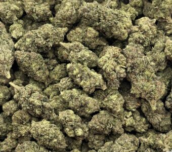 $725 LB Special – Blue Glue (Hybrid)