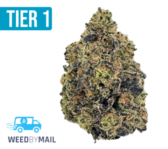 Tier 1 Raspberry Kush (36.89% THC)(Indica)