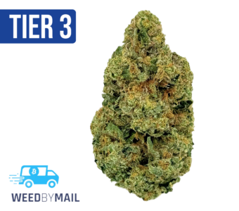 Tier 3 Milkman (28.91% THC) (Indica)