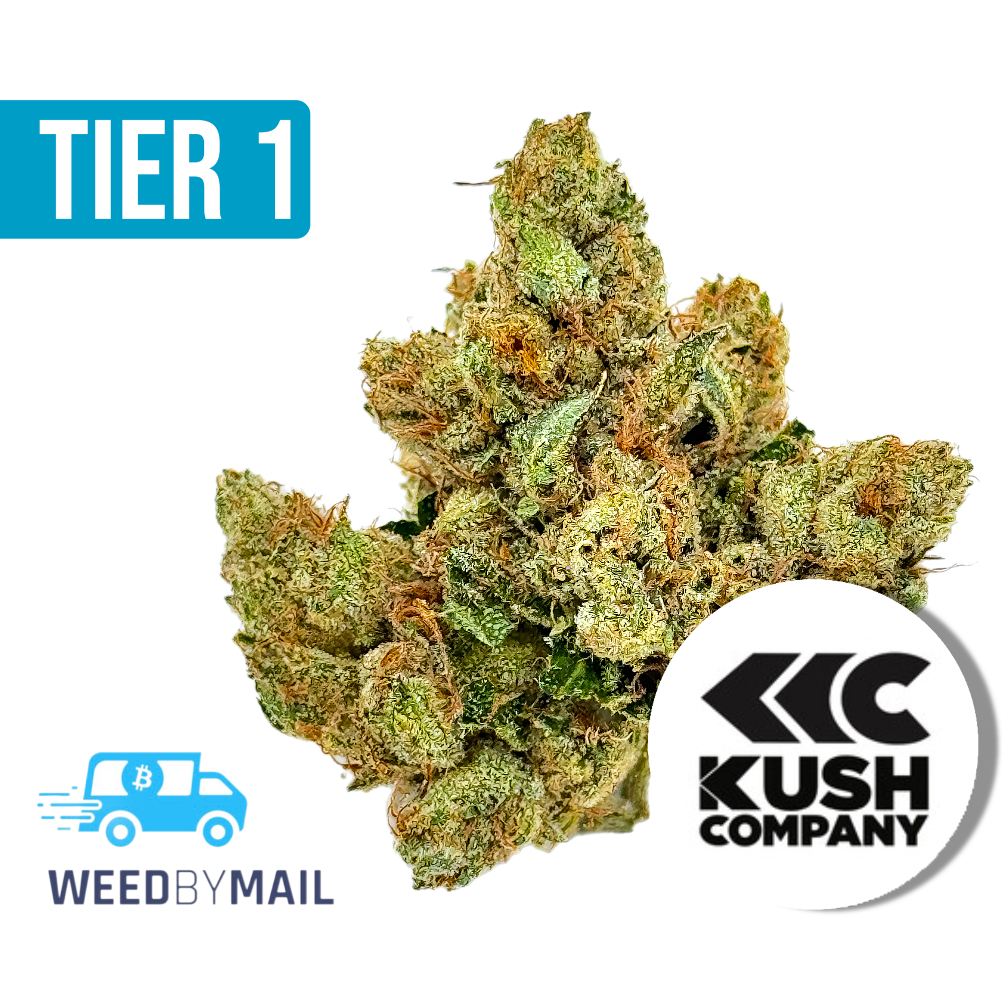 Tier 1 King Mamba OG (36.72% THC)(Indica)