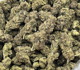 $500 LB Special – F.O.G (Sativa-Hybrid)
