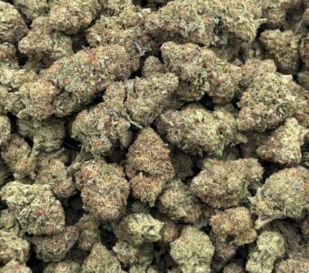 $600 LB Special – Confidential Cookies (Indica)