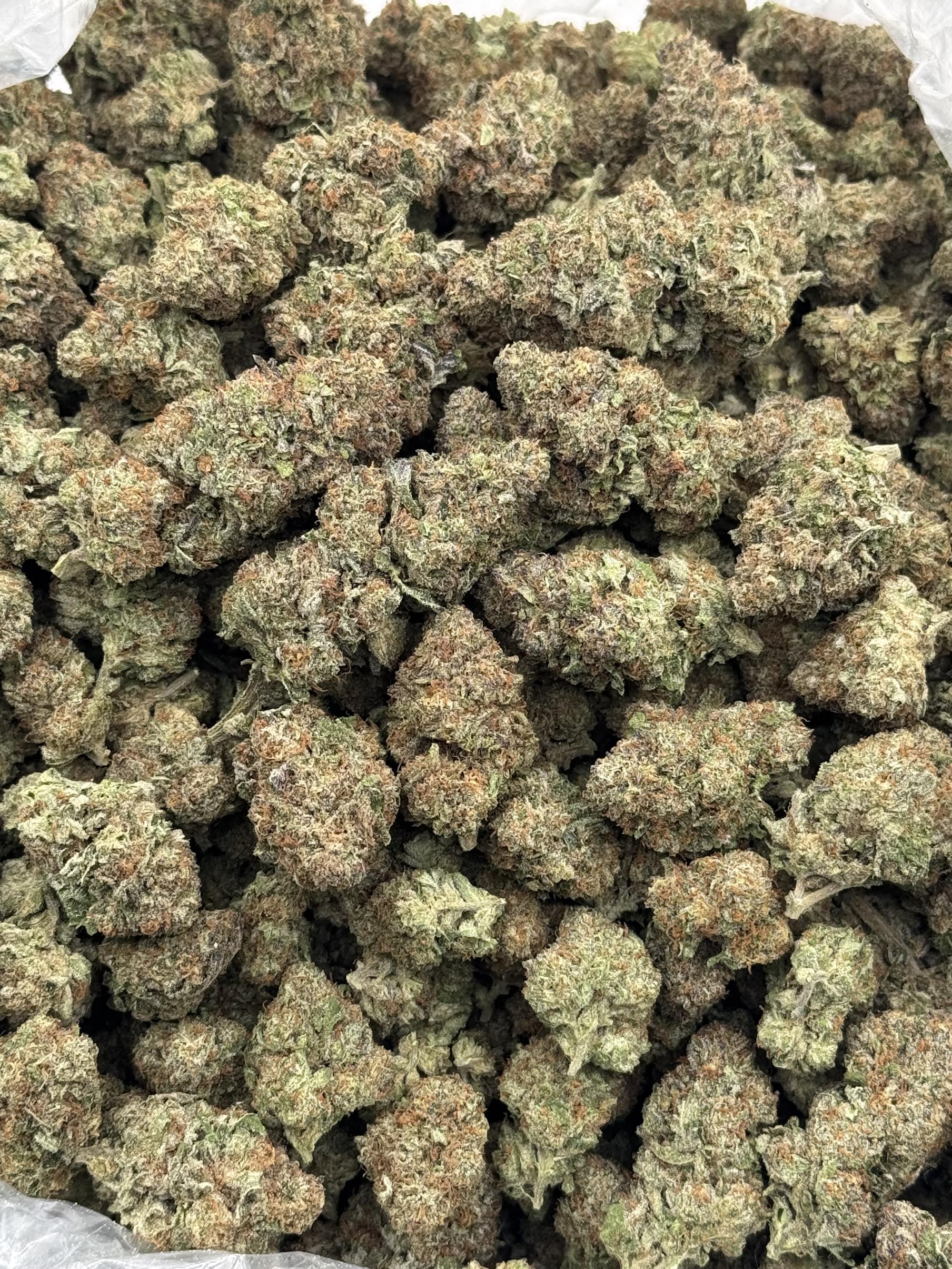 $600 LB Special - Confidential Cookies (Indica)