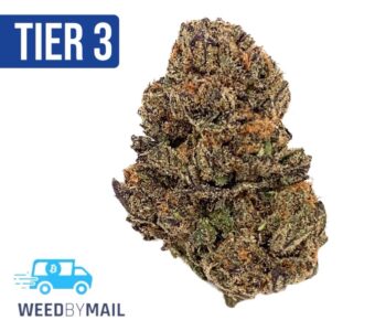 Tier 3 Unicorn Milk (28.89% THC) (Hybrid)