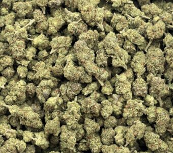 $575 LB Special – Starburst OG (Hybrid)