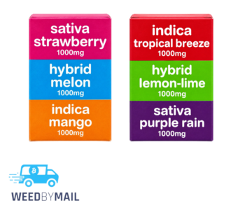 CUBE – 3,000mg Vegan Cannabis Infused Gummies (2 Options)