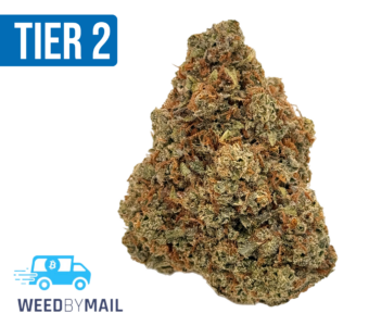 Tier 2 Bruce Banner (32.93% THC)(Hybrid)