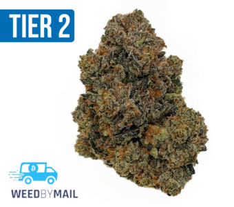 Tier 2 Scarface OG (32.91% THC)(Indica)