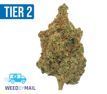 Tier 2 Super Skunk (32.85% THC)(Sativa)