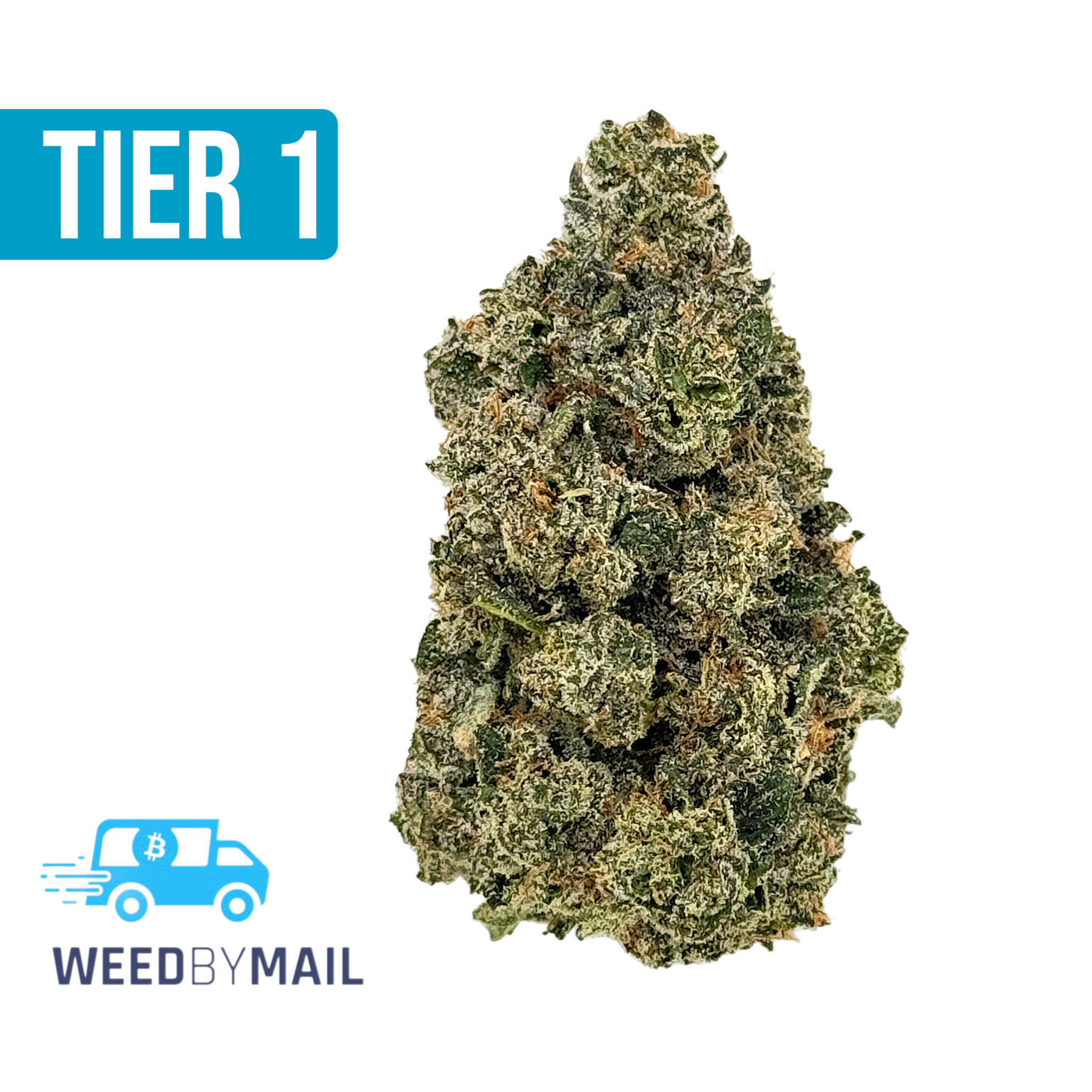 Tier 1 Notorious OG (36.95% THC)(Indica)