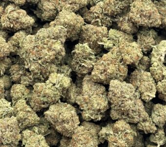 $650 LB Special – Silver Surfer (Hybrid)