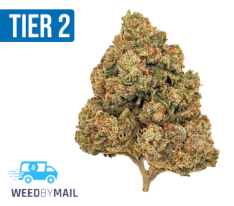 Tier 2 Marshmallow OG (32.86% THC)(Indica)