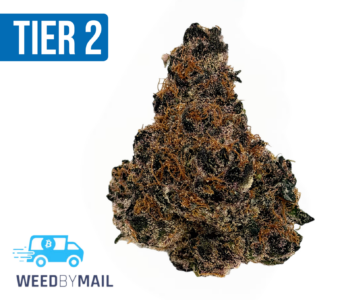 Tier 2 Faded Glory (32.93% THC)(Sativa)