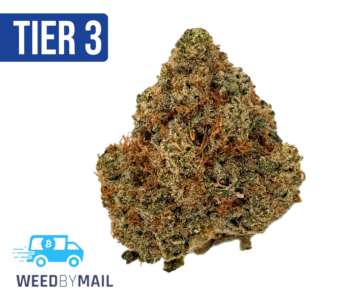 Tier 3 Lambs Bread (28.92% THC) (Sativa)