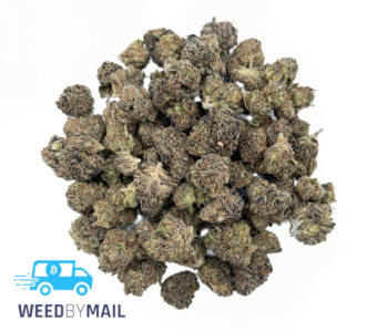Tier 2 (Small Buds) Euphoria Cookies (31.85% THC)(Hybrid)
