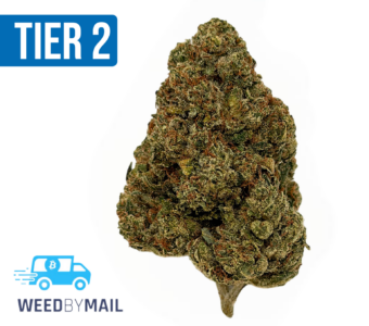 Tier 2 King Louis (32.95% THC)(Indica)