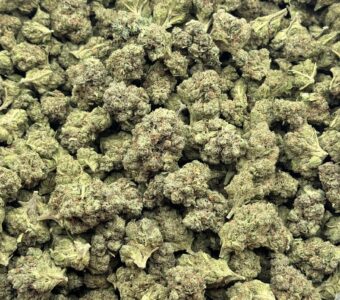 $575 LB Special – Pine Tar Kush (Indica)