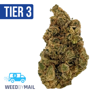 Tier 3 Nepal Kush (28.97% THC) (Indica)