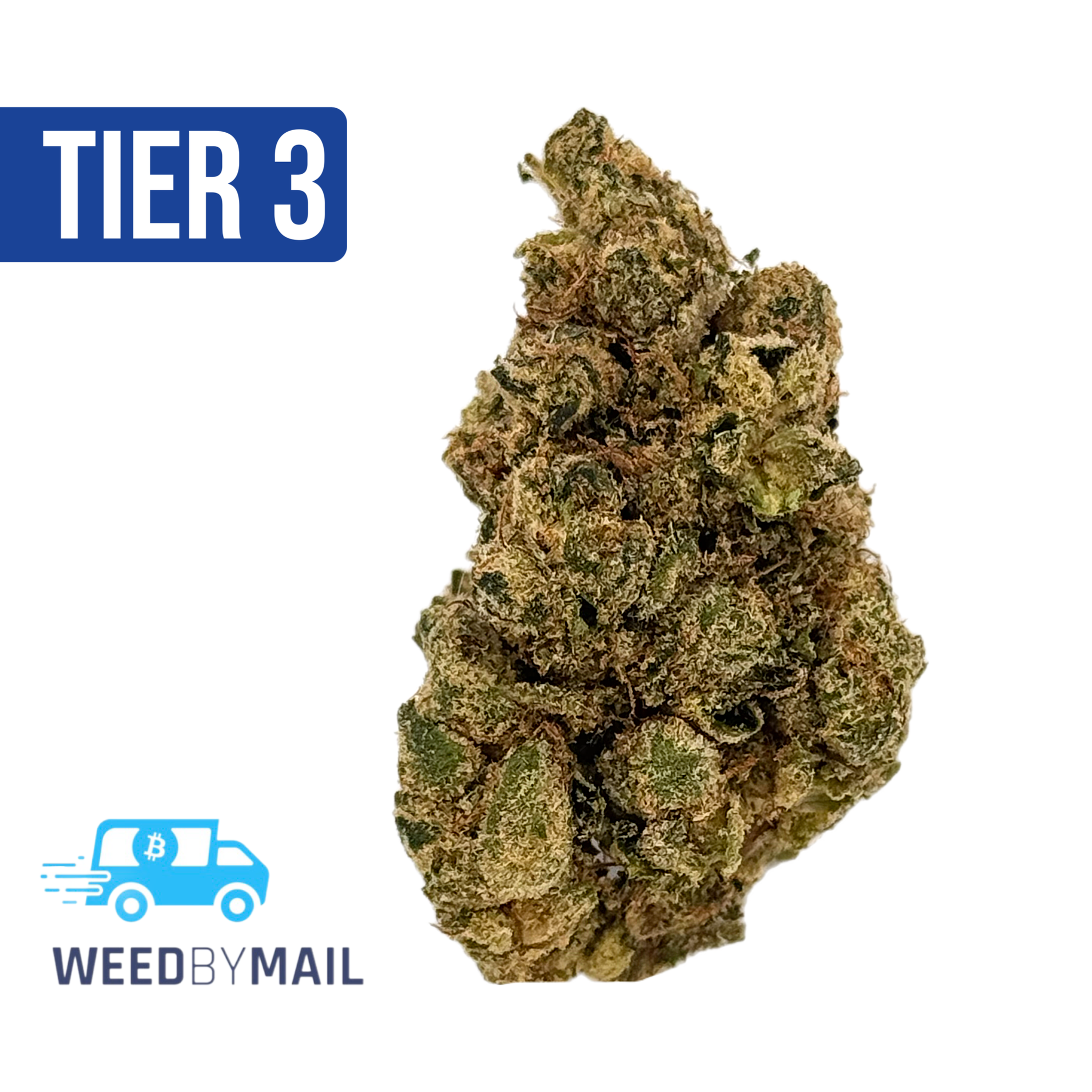 Tier 3 Nepal Kush (28.97% THC) (Indica)