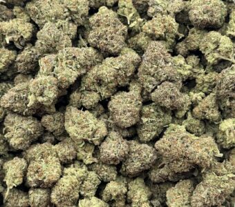 $675 LB Special – Rainbow Runtz (Hybrid)