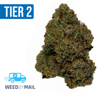 Tier 2 Pink Panties (32.97% THC)(Indica)