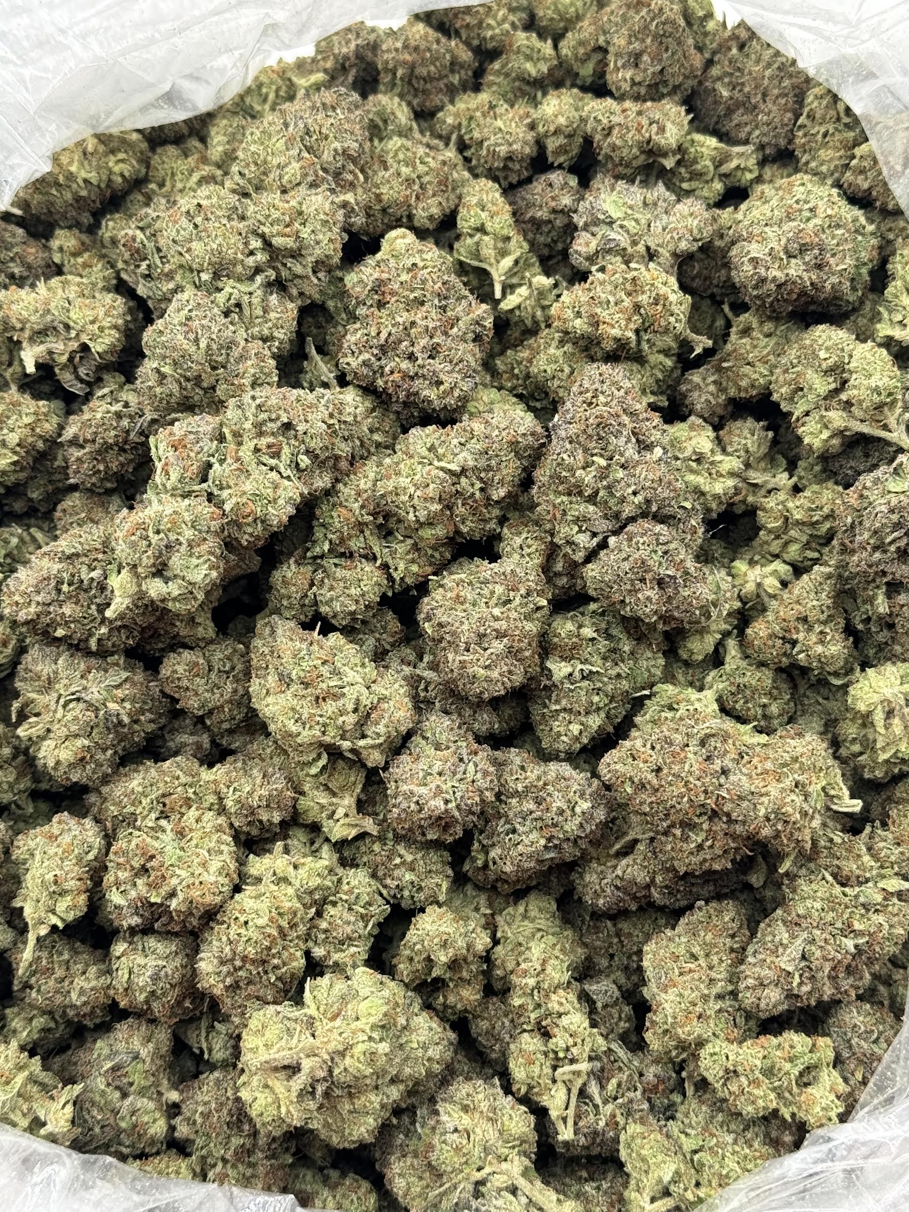 $675 LB Special - Rainbow Runtz (Hybrid)