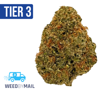 Tier 3 Thin Mint (28.84% THC) (Hybrid)