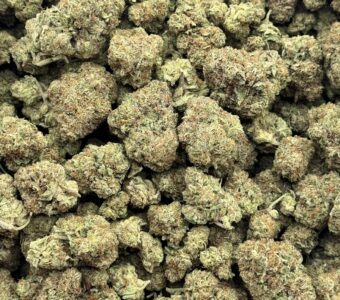 $675 LB Special – Chronotonic (Indica)