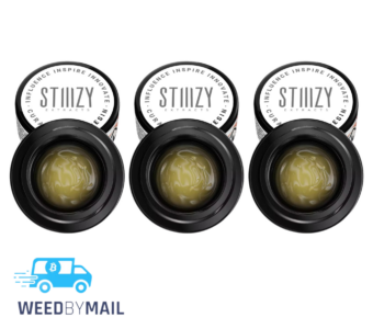 STIIIZY – 1g Curated Live Resin Concentrate (7 Options)