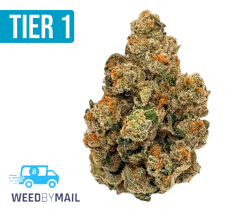 Tier 1 Face Mints (35.87% THC)(Hybrid)