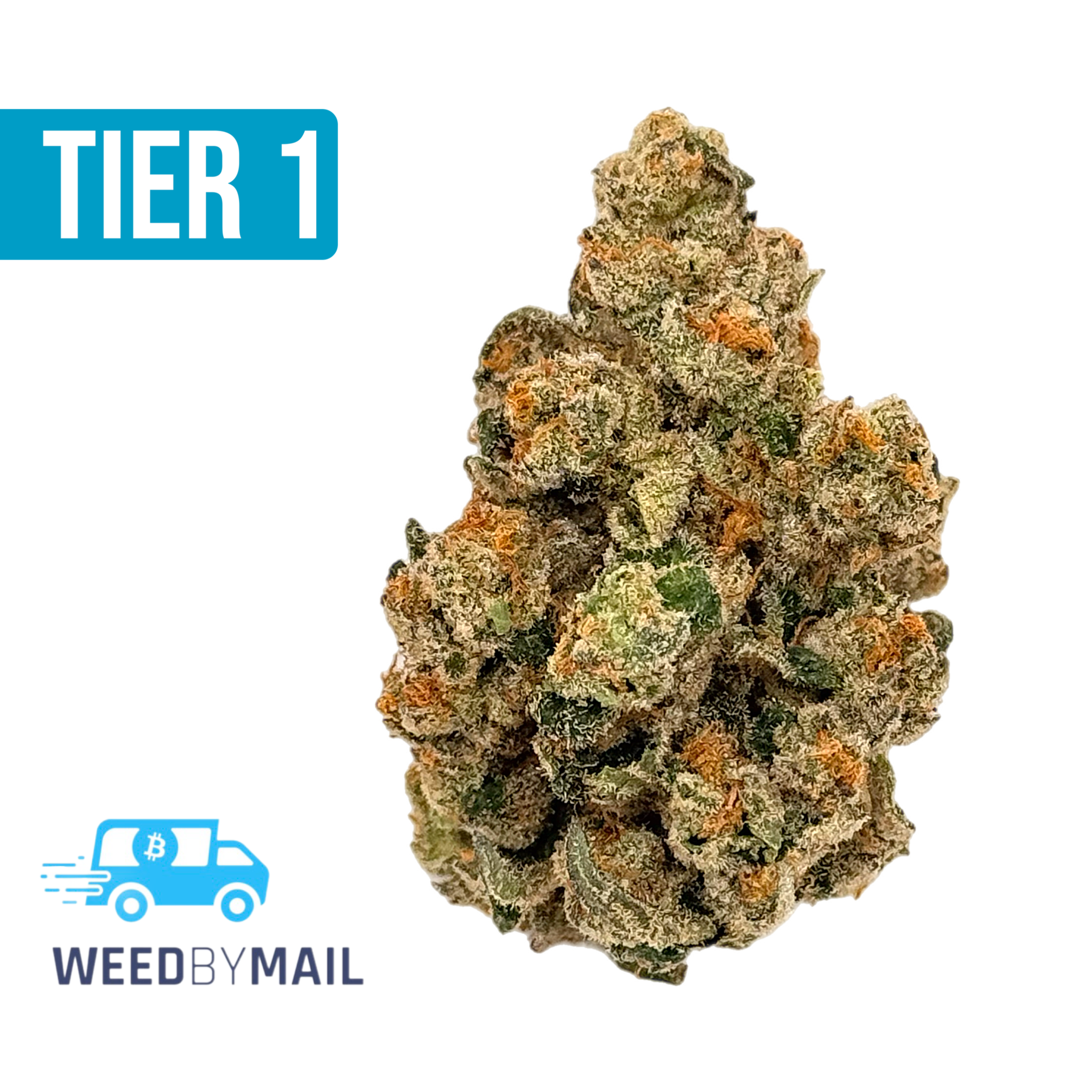 Tier 1 Face Mints (35.87% THC)(Hybrid)