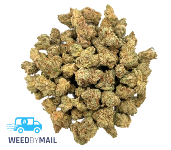 Tier 1 (Small Buds) Kush Mountain (35.86% THC)(Hybrid)