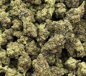 $700 LB Special – Galactic Glue (Hybrid)