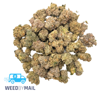Tier 1 (Small Buds) White Kush (35.92% THC)(Indica)