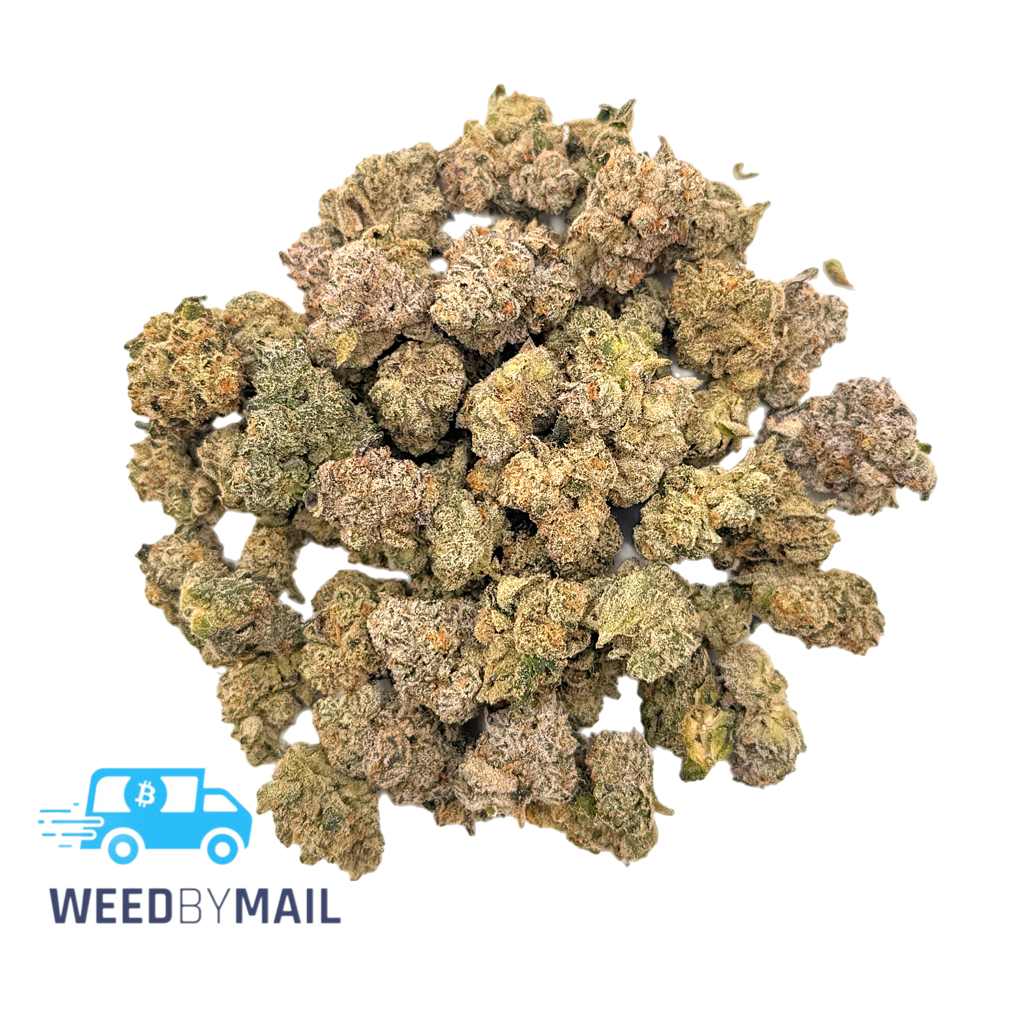 Tier 1 (Small Buds) White Kush (35.92% THC)(Indica)