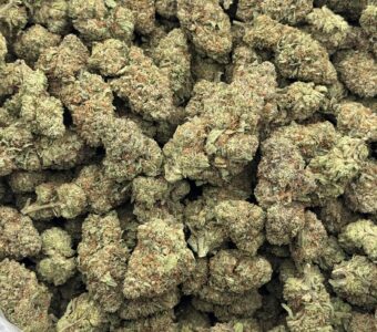 $600 LB Special – Guava Runtz (Hybrid)