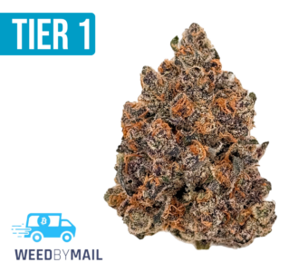 Tier 1 Gorilla Runtz (35.83% THC)(Hybrid)