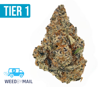 Tier 1 Purple Punch (35.88% THC)(Indica)