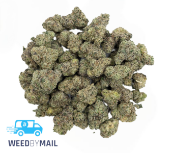 Tier 1 (Small Buds) Double OG (36.92% THC)(Indica)