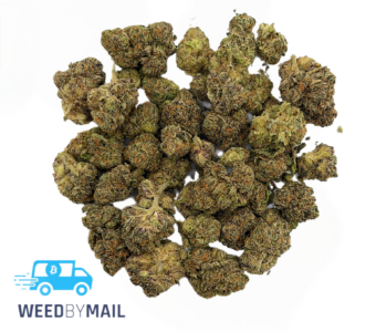 Tier 2 (Small Buds) Petrol Potion (31.90% THC)(Hybrid)