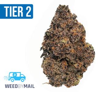 Tier 2 Agent Orange (32.87% THC)(Hybrid)