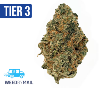 Tier 3 Blueberry Blast (28.98% THC) (Sativa)