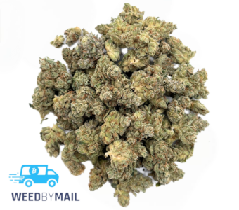 Tier 1 (Small Buds) Sticky Glue (36.92% THC)(Hybrid)