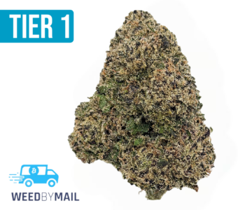 Tier 1 Purple Gelato (35.94% THC)(Hybrid)