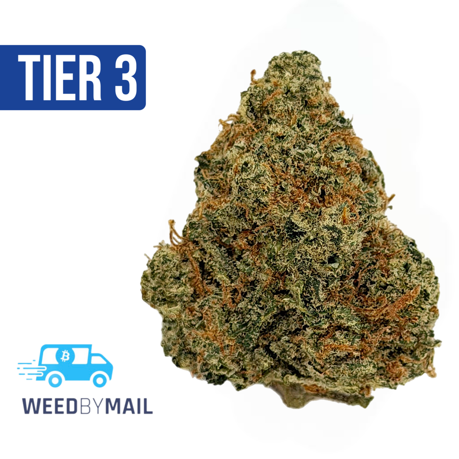Tier 3 Kings Poison (28.96% THC) (Hybrid)