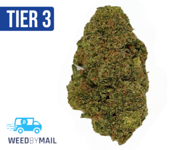 Tier 3 Amnesia Haze (28.96% THC) (Sativa)