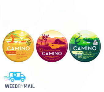 Kiva – 100mg Vegan Camino Gummies (7 Options)